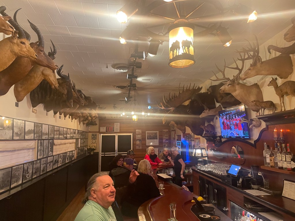 Foster's Bighorn, bar