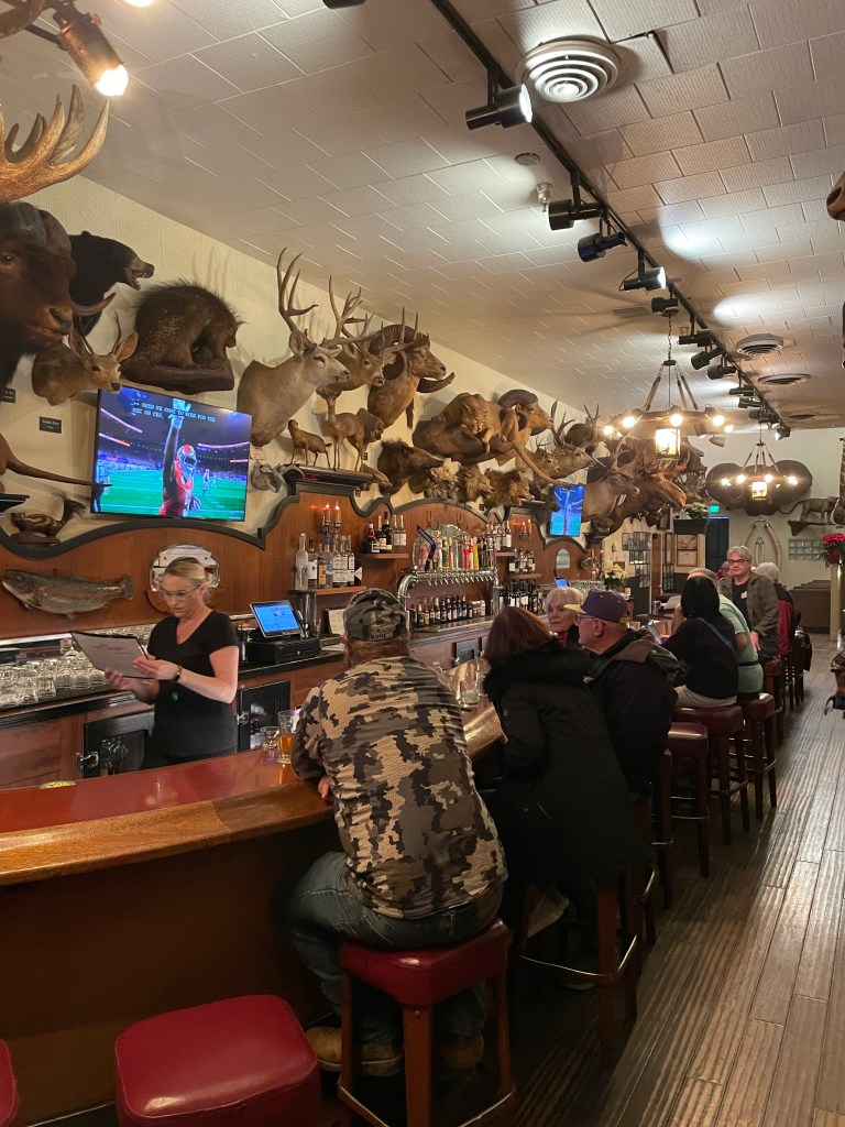 Foster's Bighorn, bar