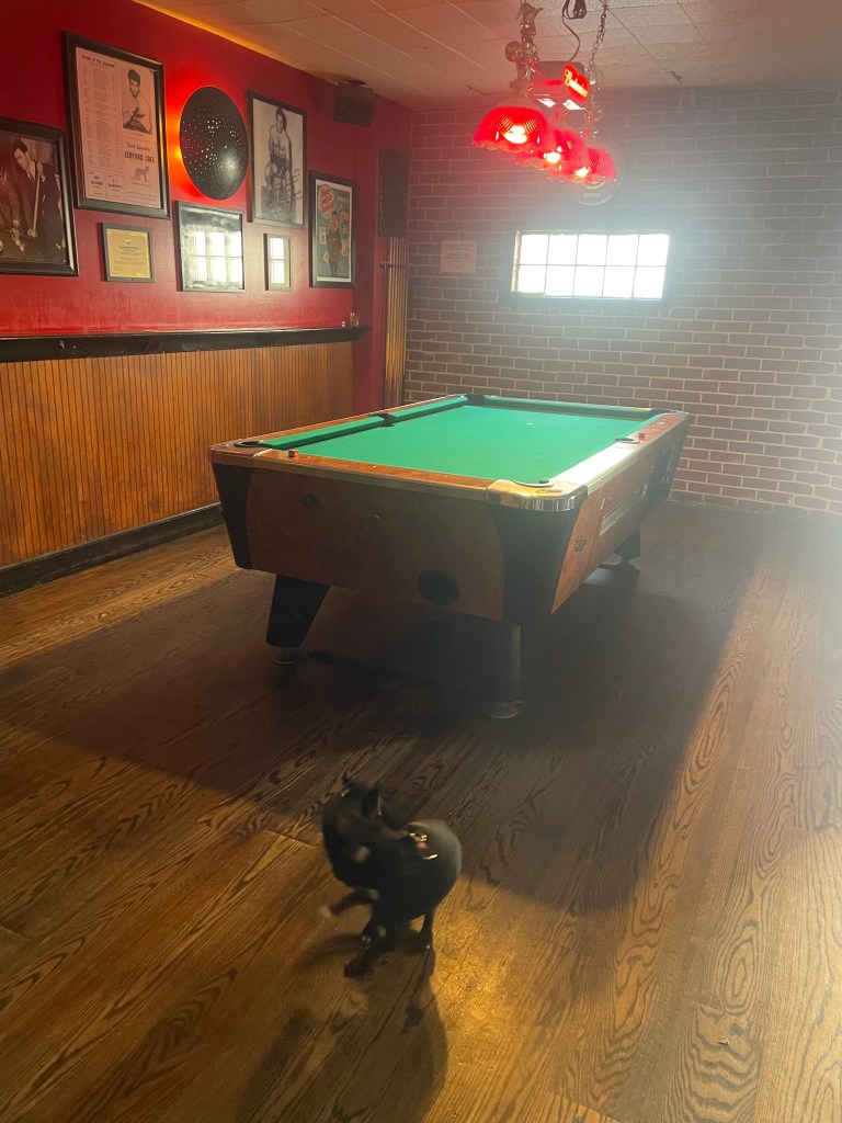photo of the pool table at The HA-RA Club, San Francisco