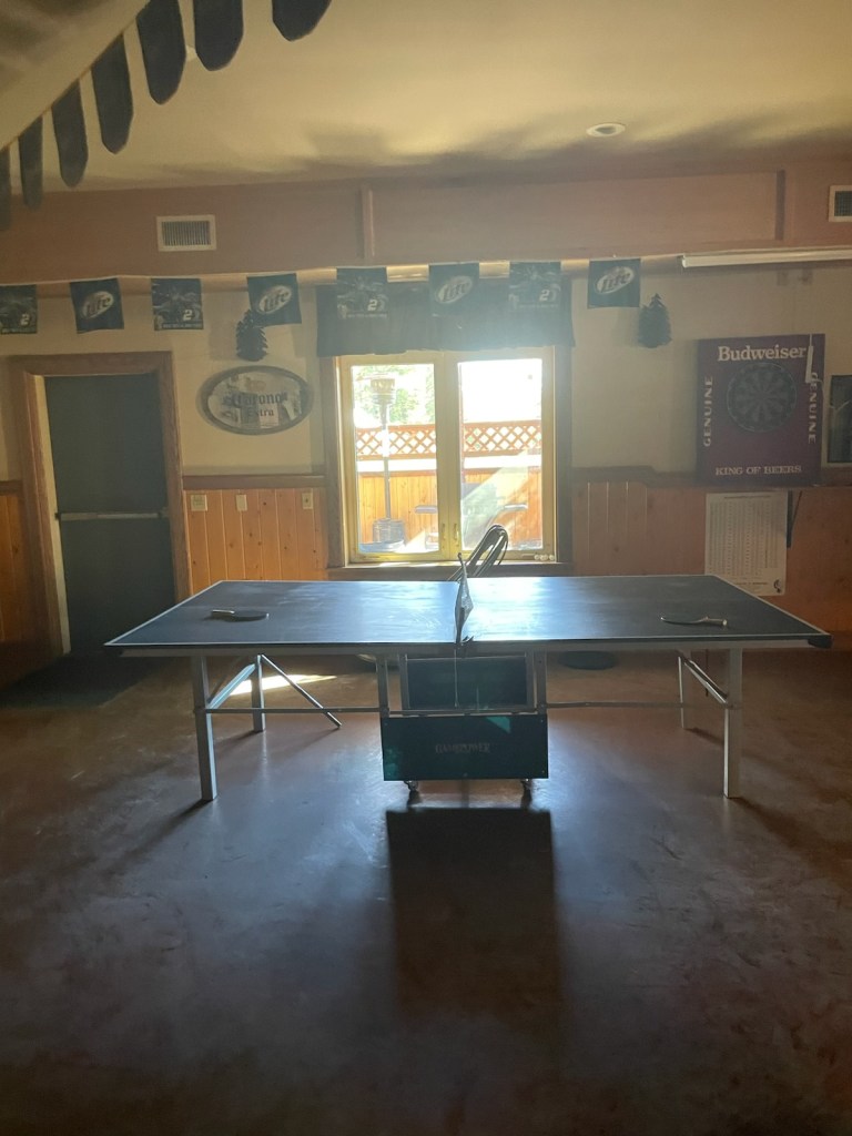 photo of ping pong table in Tok Lodge Bar, Tok, Alaska