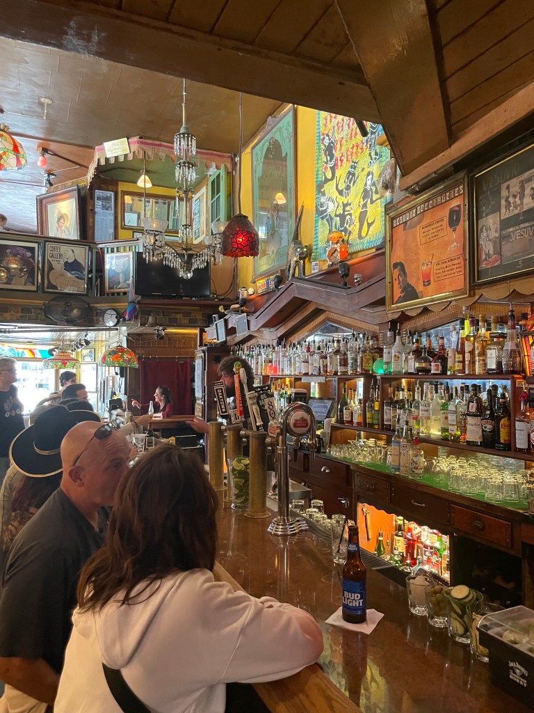 photo of interior of Vesuvio Cafe, San Francisco, CA