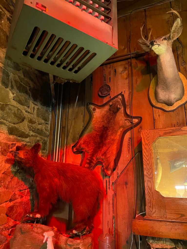 photo of interior detail of The Iron Door Saloon, Groveland, CA