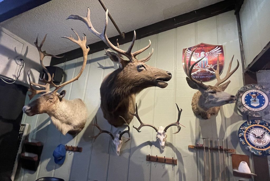 photo of some taxidermy at The Aquarium Bar & Restaurant, Petaluma, CA