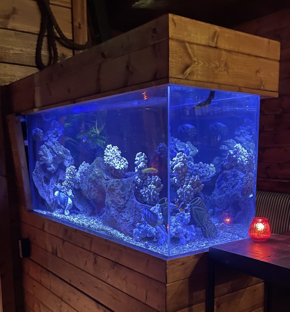 photo of fishtank of Pagan Idol, San Francisco